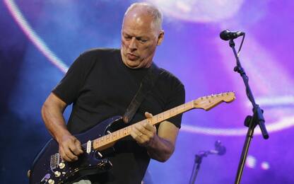 David Gilmour, asta chitarre per l'ambiente: 4 milioni per Black Strat
