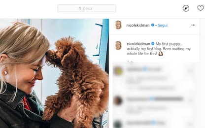 Nicole Kidman presenta su Instagram il suo primo cucciolo di cane