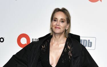 GettyImages-Sharon_Stone_hero