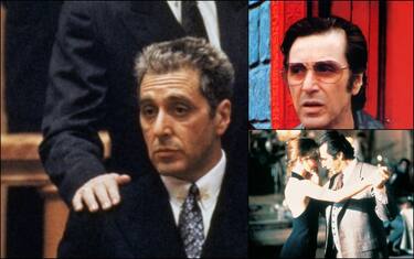 collage-alpacino-webphoto