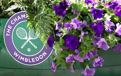 Wimbledon, i numeri per prepararsi al torneo più affascinante