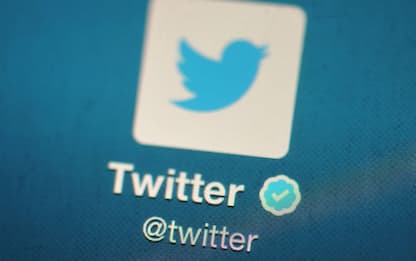 I precari dell’Istat “occupano” per un’ora l’account Twitter ufficiale