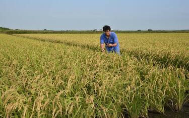 11GettyImages-agricoltura