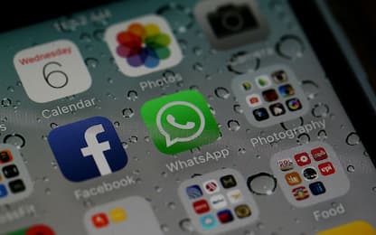 WhatsApp, sticker animati e dark mode su Pc: le novità in arrivo
