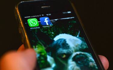 WhatsApp, aggiornamento privacy: senza ok stop servizio l'8 febbraio