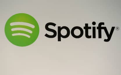Spotify ha creato playlist dedicate agli animali domestici