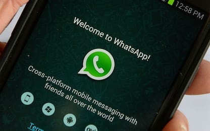 Whatsapp lancia gli status di testo a sfondo colorato