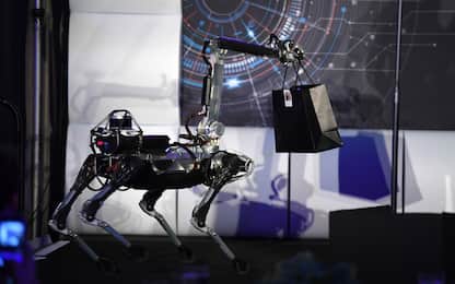 Google molla i robot: Boston Dynamics e Schaft vendute a Softbank