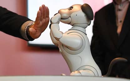I primi latrati di Aibo, il cane robot della Sony. FOTO