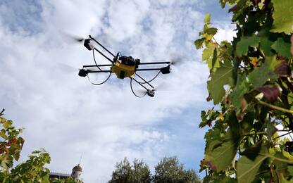Sindaco leghista a caccia di spacciatori con i droni in Brianza