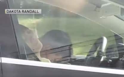 Stati Uniti, guidatore dorme al volante di una Tesla. VIDEO